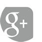 Google plus Icon